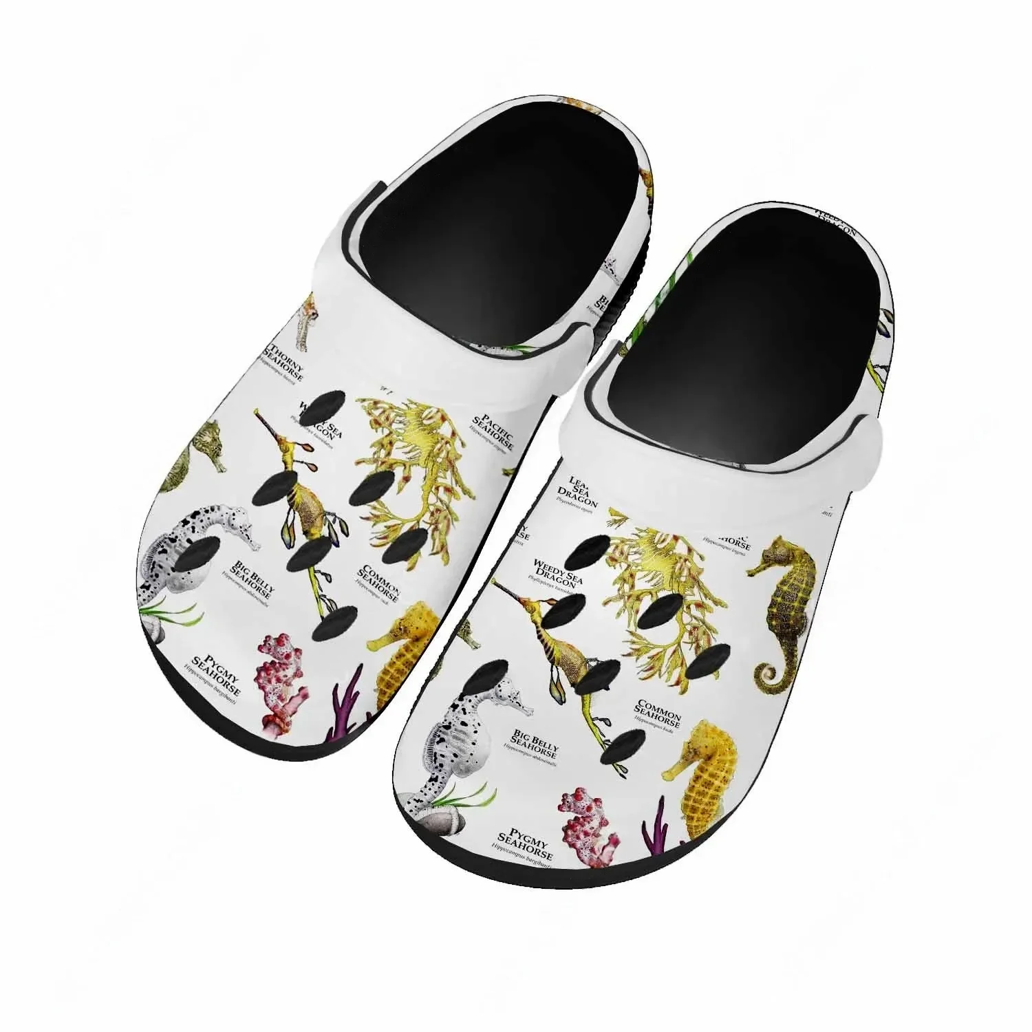 รองเท้าแตะซีฮอร์สสำหรับผู้หญิง - Water Shoes บทวิจารณ์และราคา